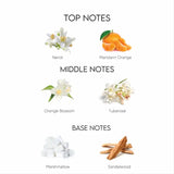 Dolce & Gabbana Pour Femme Eau de Toilette For Her - 100 ml