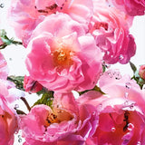 Dior Miss Dior Hair Mist - 30 ml