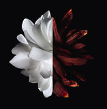 Givenchy L'interdit Eau De Parfum Rouge for Her - 125 ml