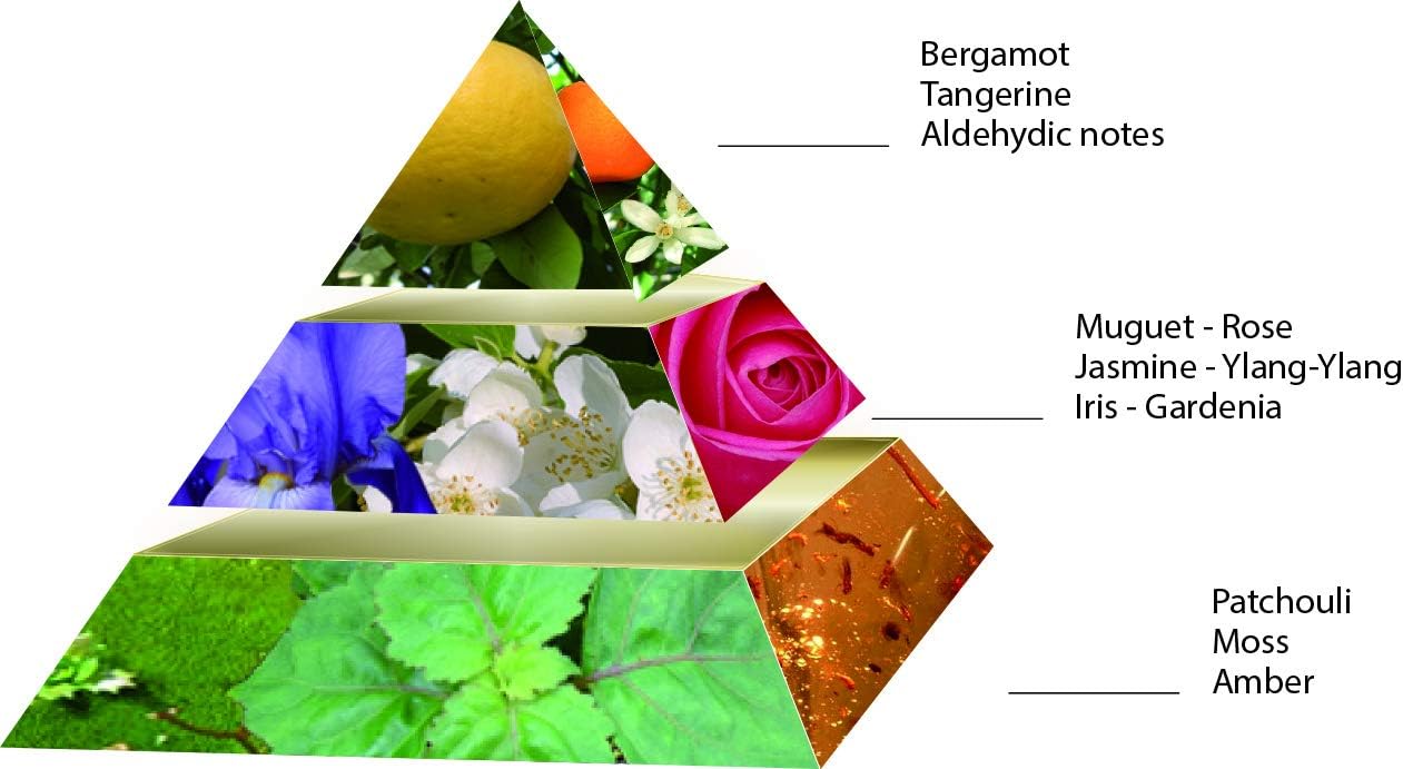 Pascal Morabito Or Noir EDP For Her - 100 ml