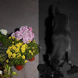 Eufy Spotlight SoloCam S40 Solar 2K Wi-Fi - White