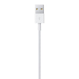 Apple Lightning To USB Cable