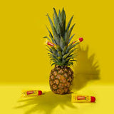 Carmex Pineapple & Mint Lip Balm Tube - 10 gr