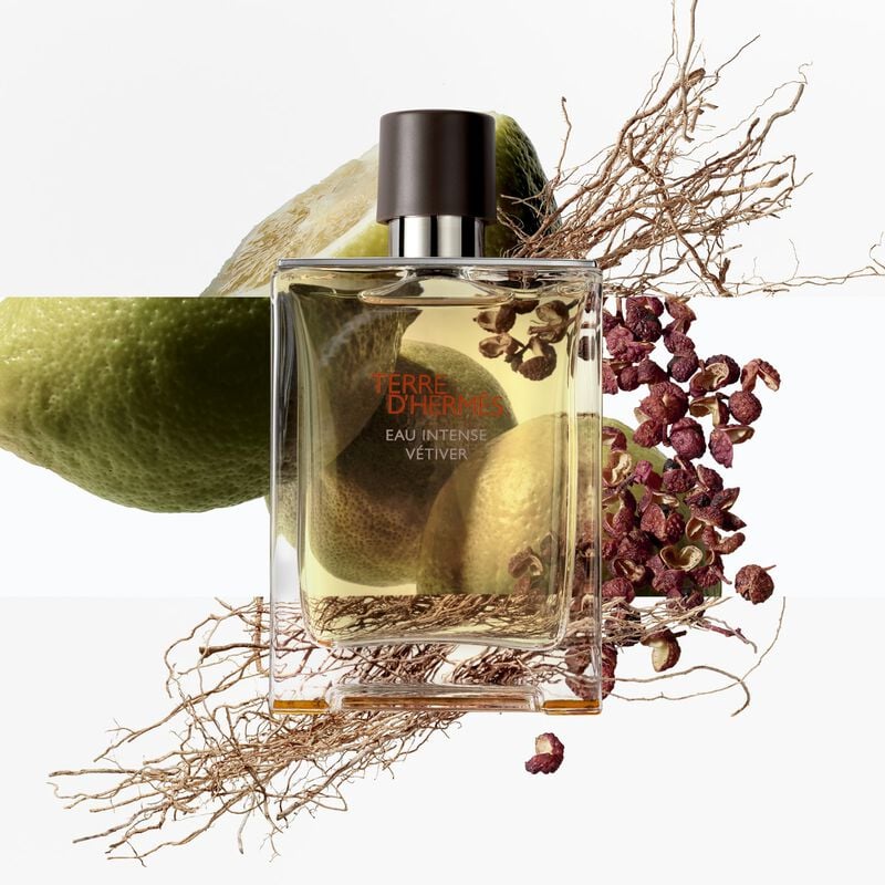 Hermes Terre d'Hermes Eau Intense Vetiver EDP For Him - 100 ml