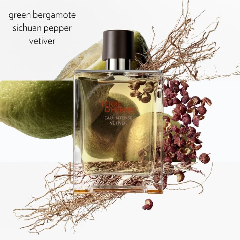 Hermes Terre d'Hermes Eau Intense Vetiver EDP For Him - 100 ml