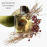 Hermes Terre d'Hermes Eau Intense Vetiver EDP For Him - 100 ml