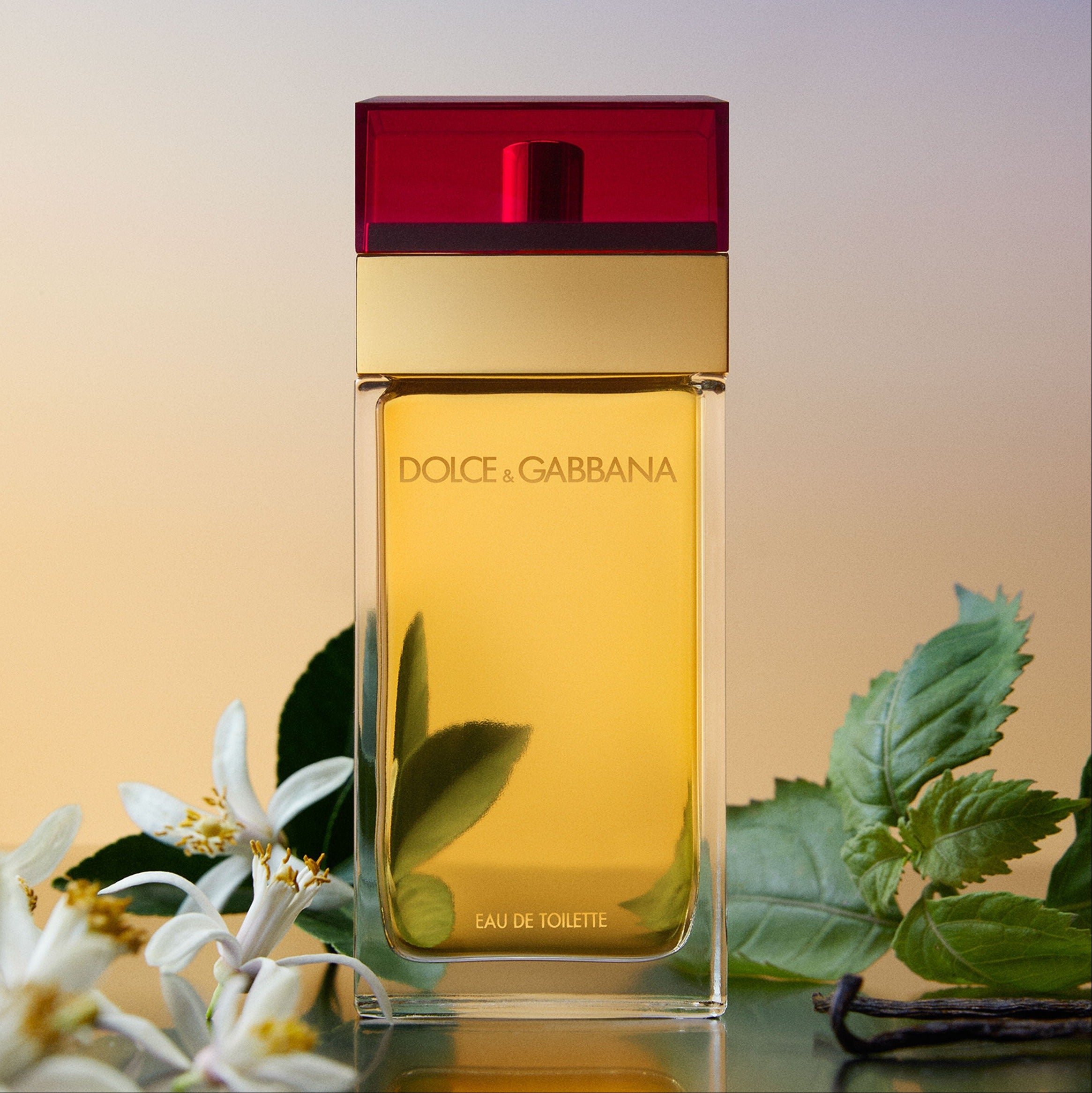 Dolce & Gabbana Pour Femme Eau de Toilette For Her - 100 ml