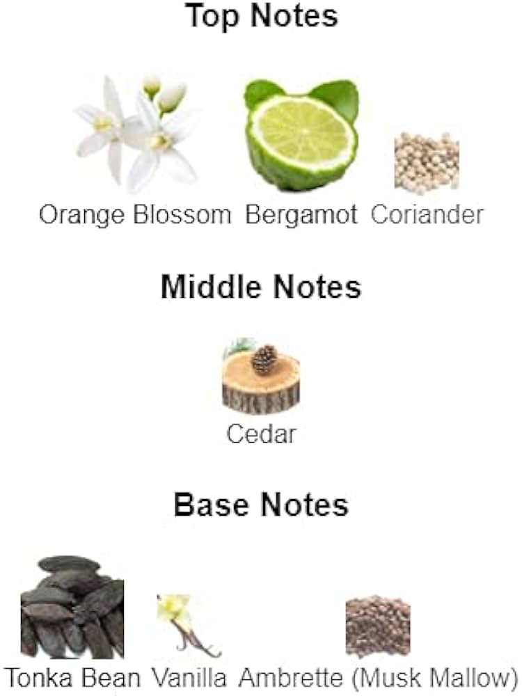The Woods Collection Timeless Sands EDP For Unisex - 100 ml