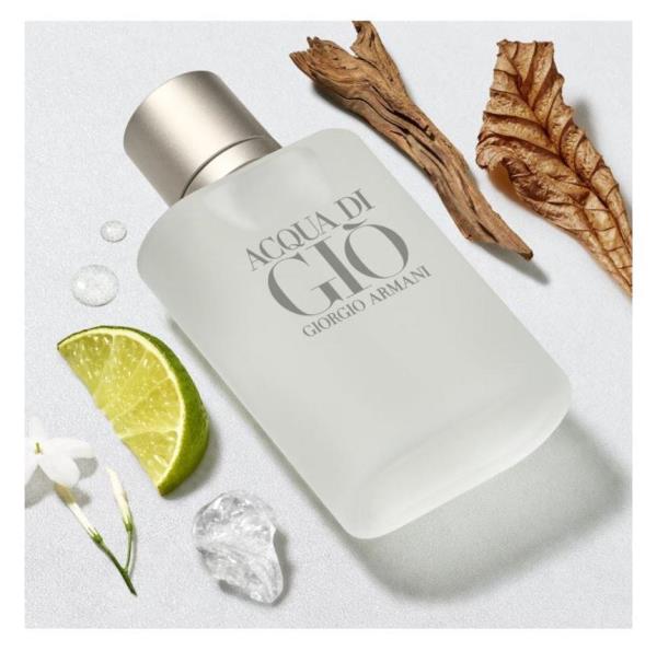 Giorgio Armani Acqua Di Gio EDT For Him - 100 ml