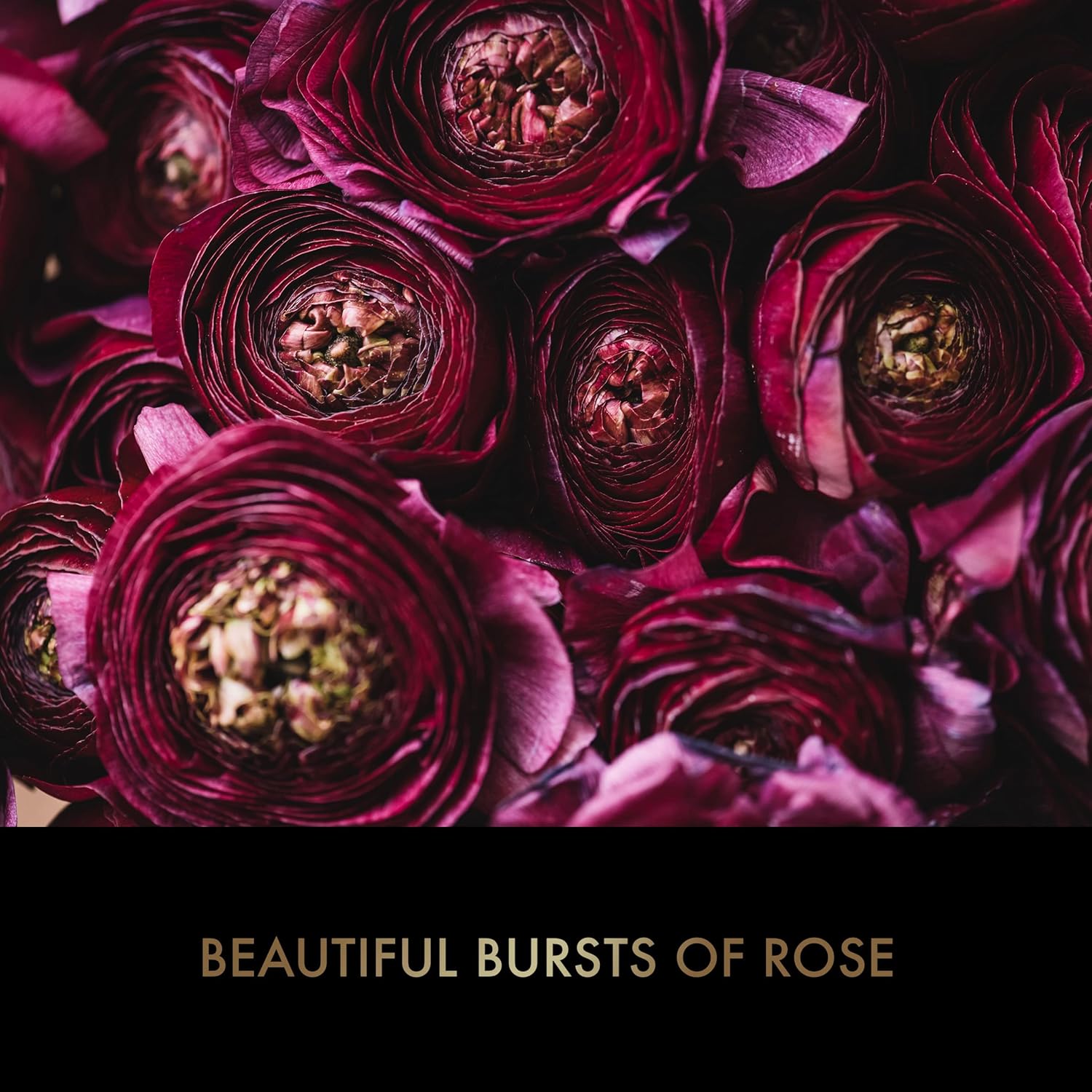 Baylis & Harding Boudoire Rose 4 Pcs Gift Set