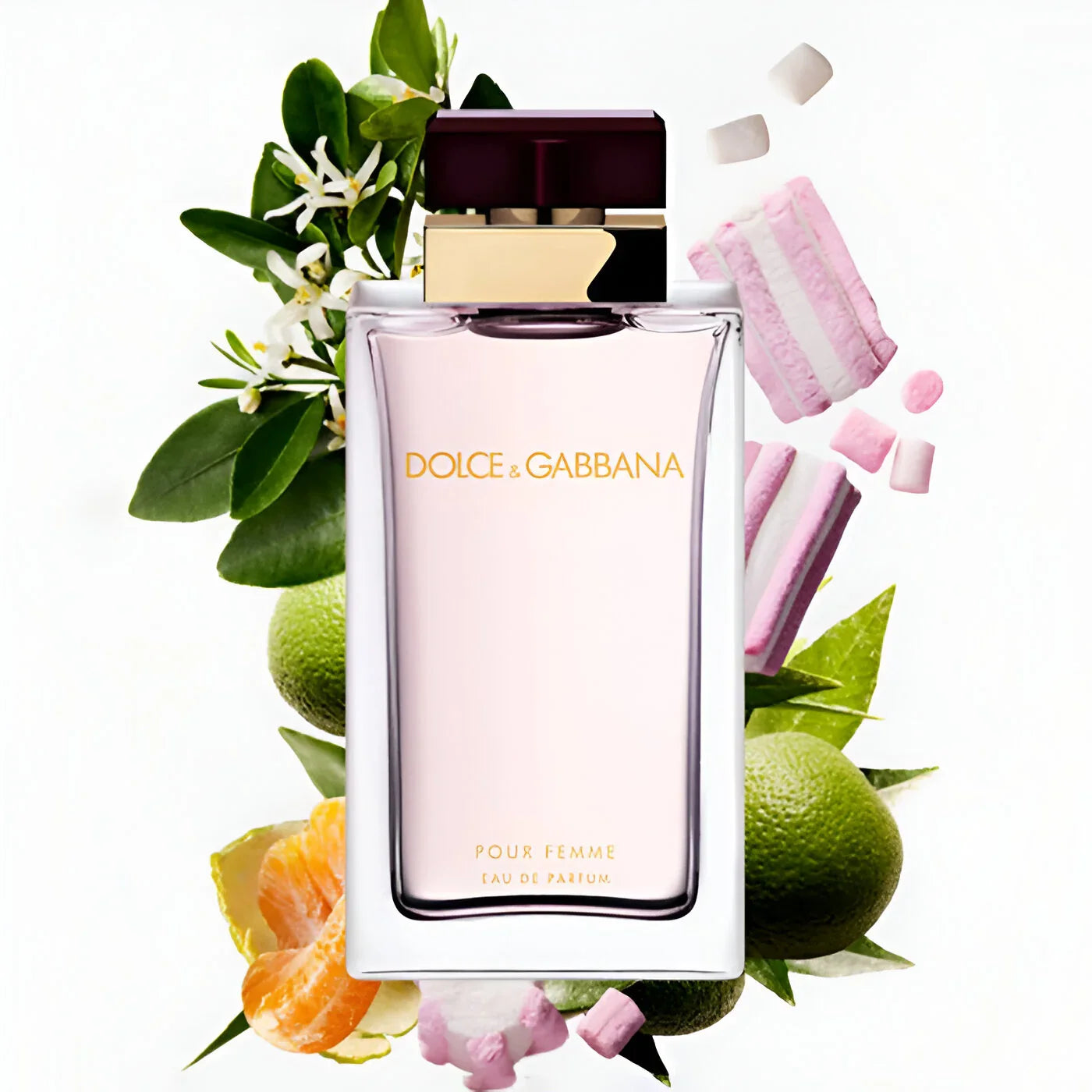 Dolce & Gabbana Pour Femme EDP For Her - 100 Ml