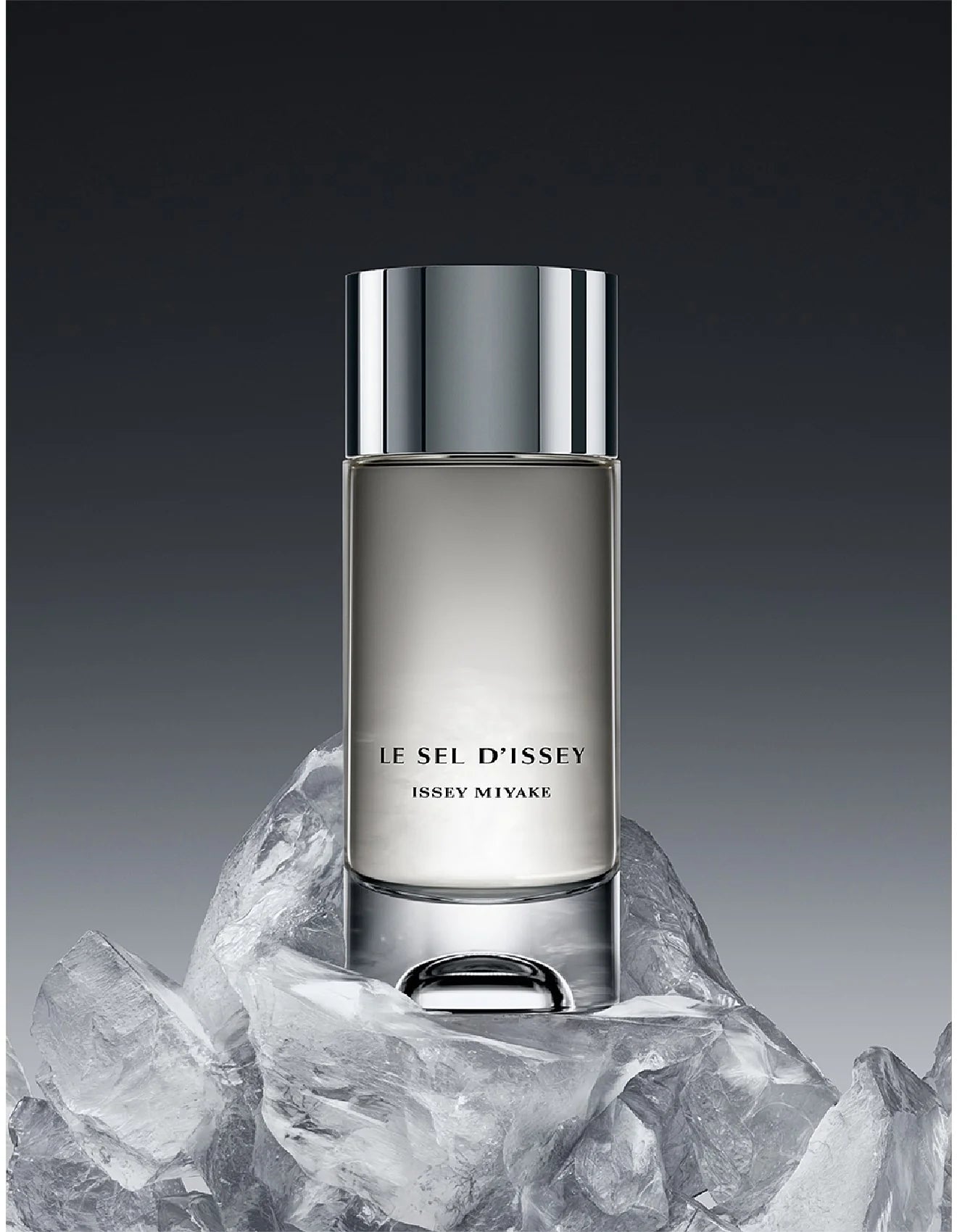 Issey Miyake Le Sel D'issey EDT For Him - 100 ml Refill