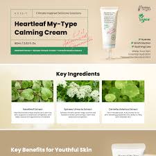 AXIS-Y Heartleaf My Type Calming Cream - 60 ml