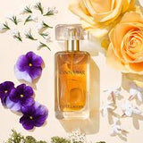 Estée Lauder Cinnabar EDP For Her - 50 ml