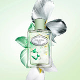 Prada Milano Les Infusions De Iris EDP For Her - 100 ml