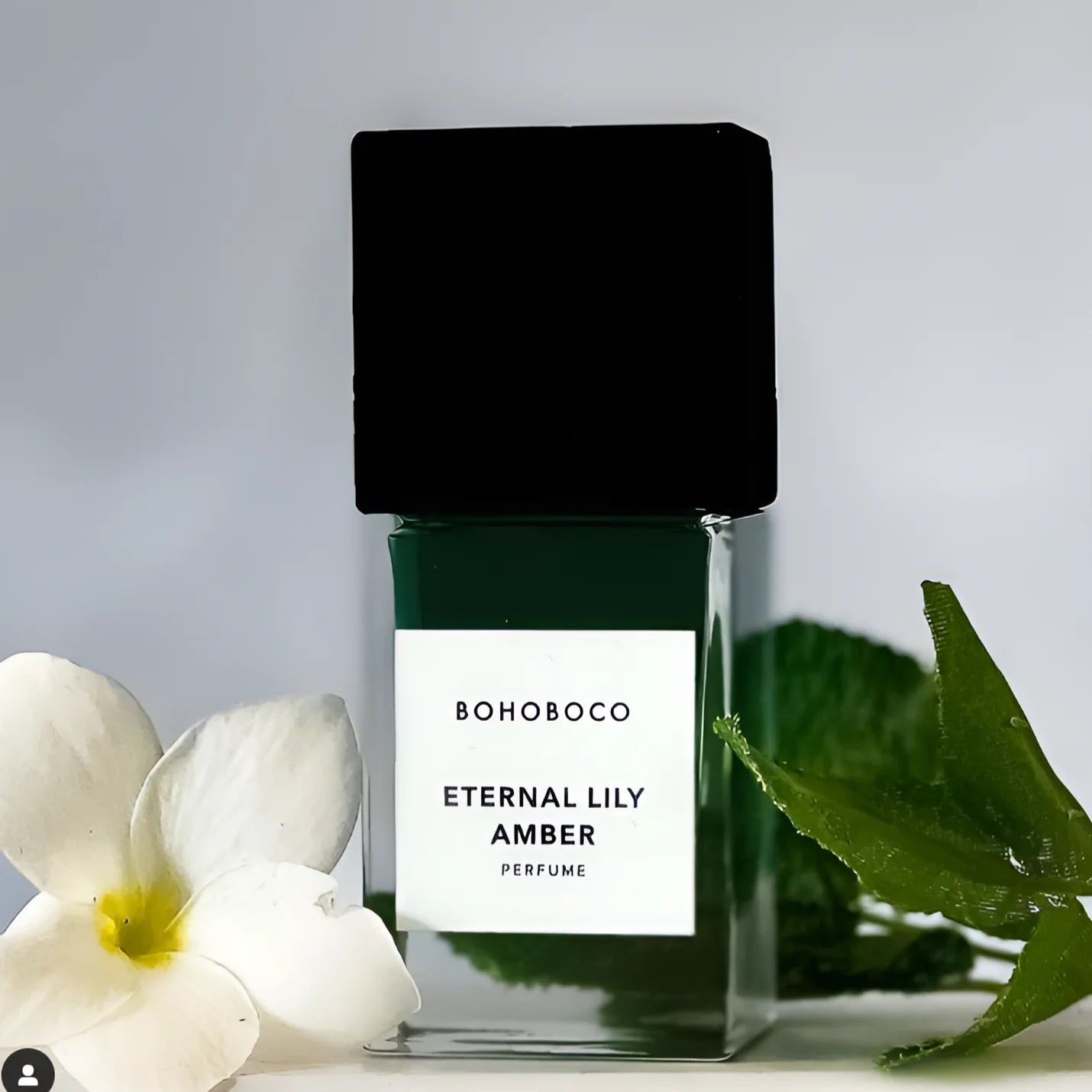 Bohoboco Eternal Lily Amber Perfume For Unisex - 50 ml
