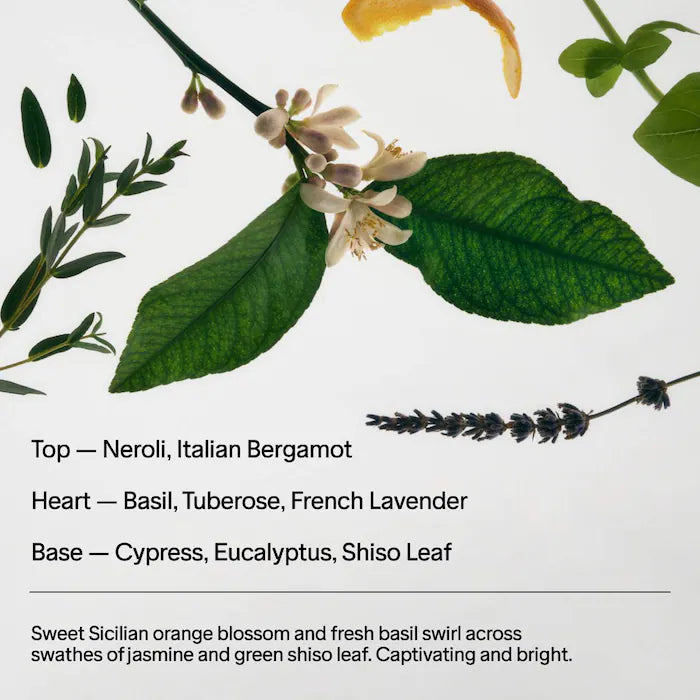Salt and Stone Neroli & Basil Deodorant - 75 gr
